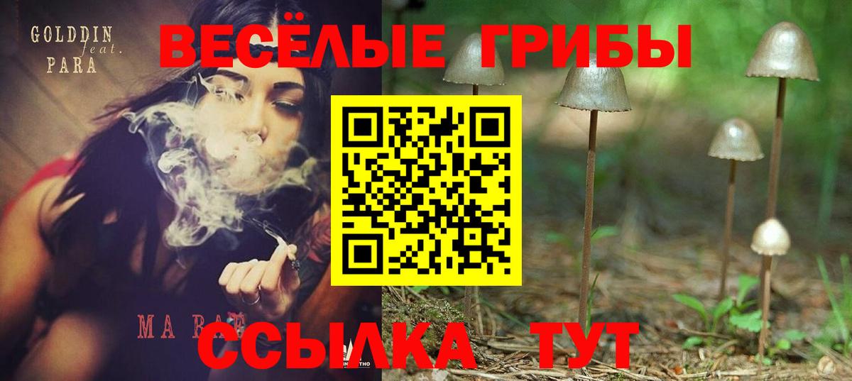цены   Галлюциногенные грибы Cubensis  Вход с VPN  Ижевск  Псилоцибиновые грибы Cubensis 